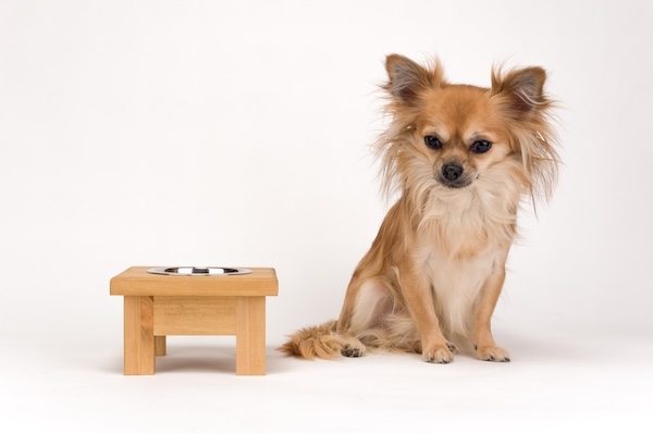 Miski dla psa i kota na stojaku – stojaki ręcznie robione z personalizacją 4 miski dla psa na stojaku